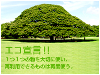 エコ宣言!!